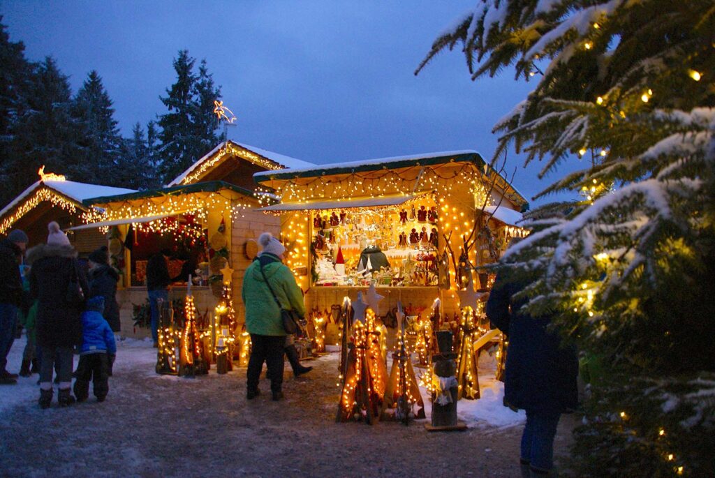 Winter-Wunderland zwischen Waldwipfeln
